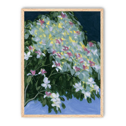 Blossoms across the night sky