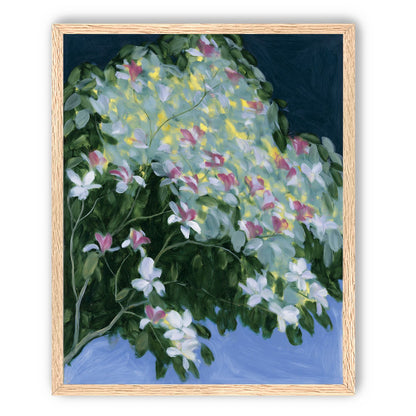 Blossoms across the night sky