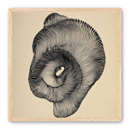 A hollow within black lines
