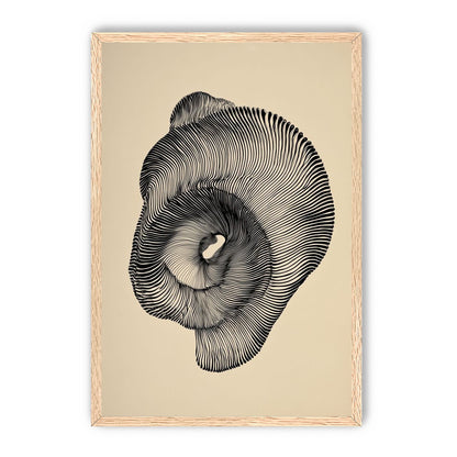 A hollow within black lines