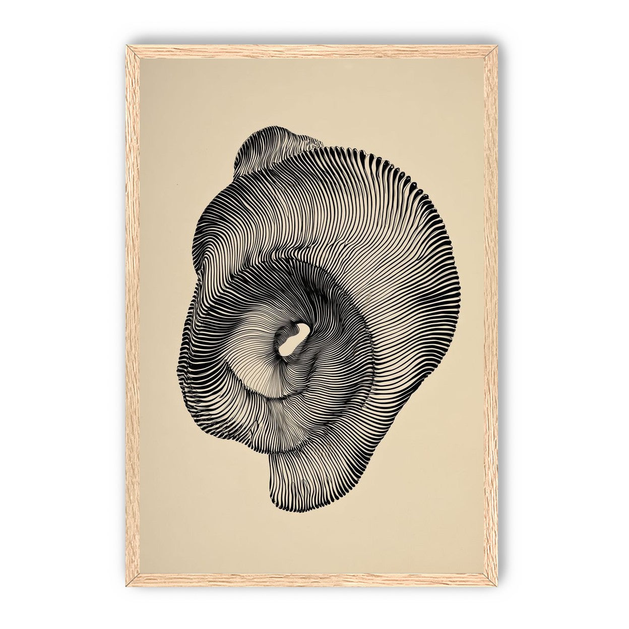 A hollow within black lines