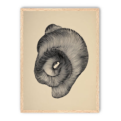 A hollow within black lines
