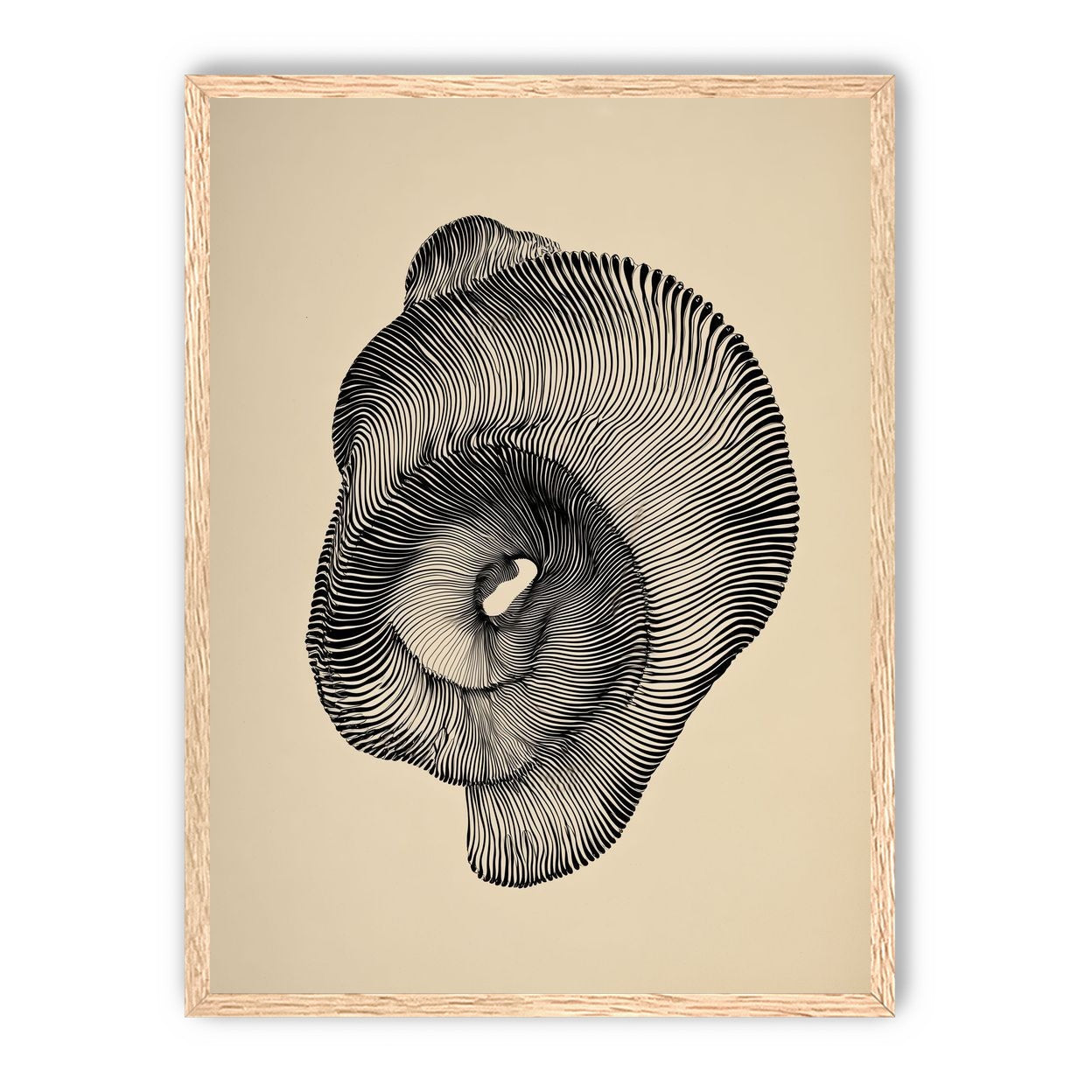 A hollow within black lines