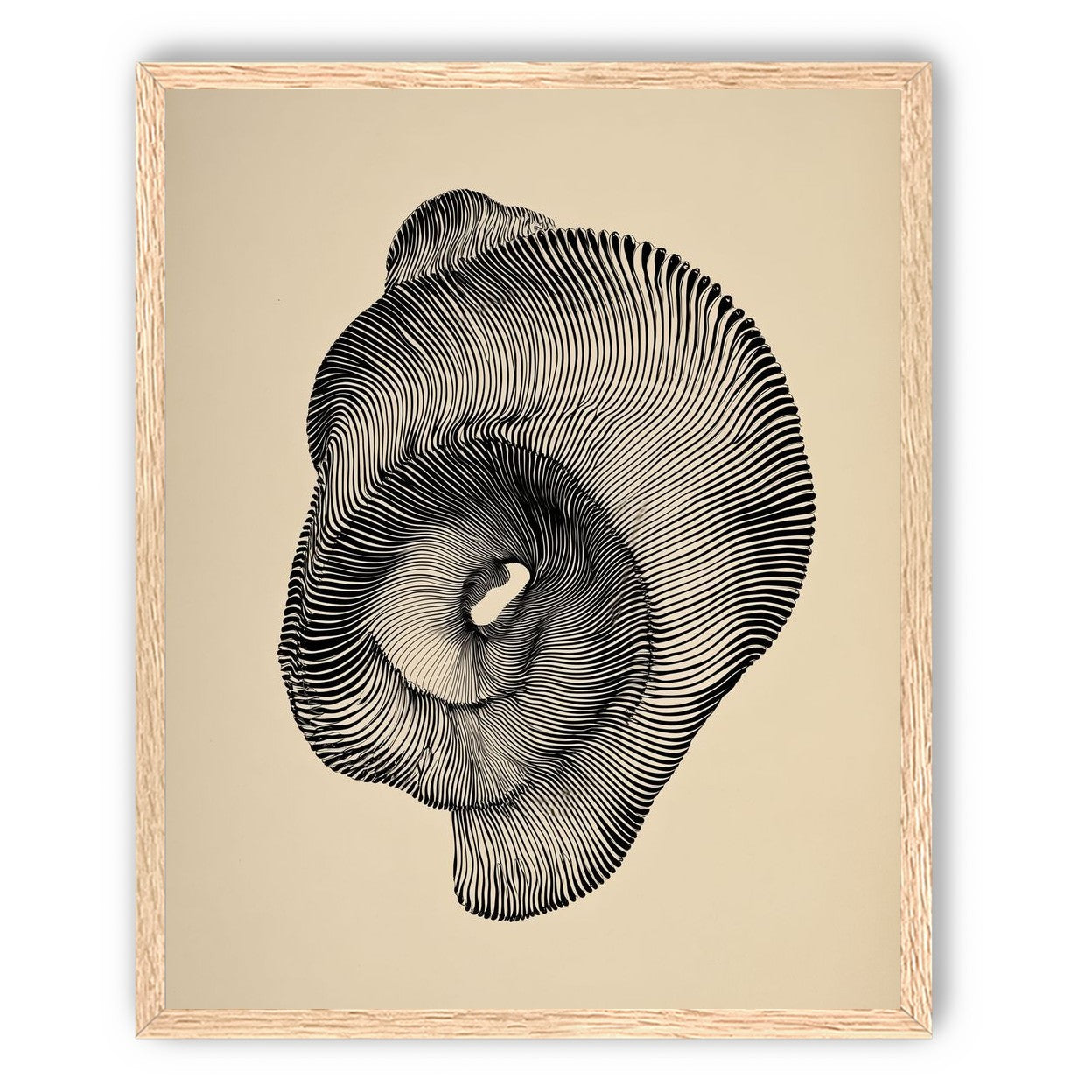 A hollow within black lines