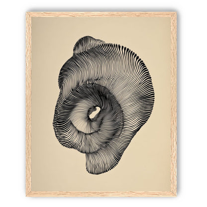 A hollow within black lines