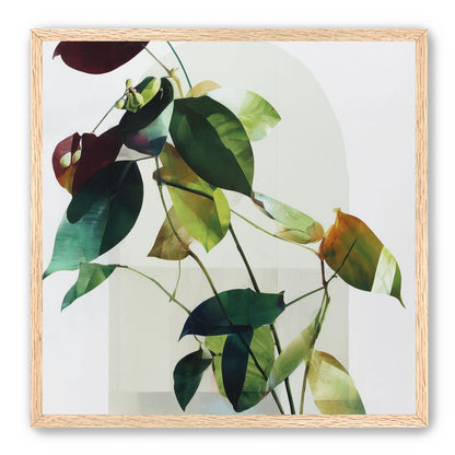 Leaves across a pale arch