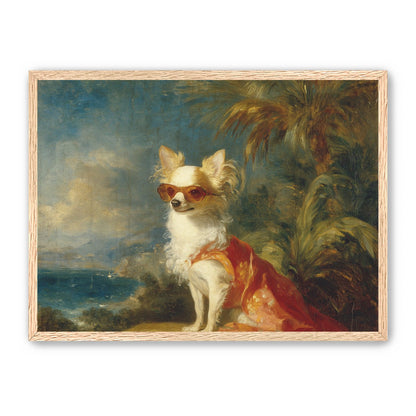 Sunglasses on the seaside dog