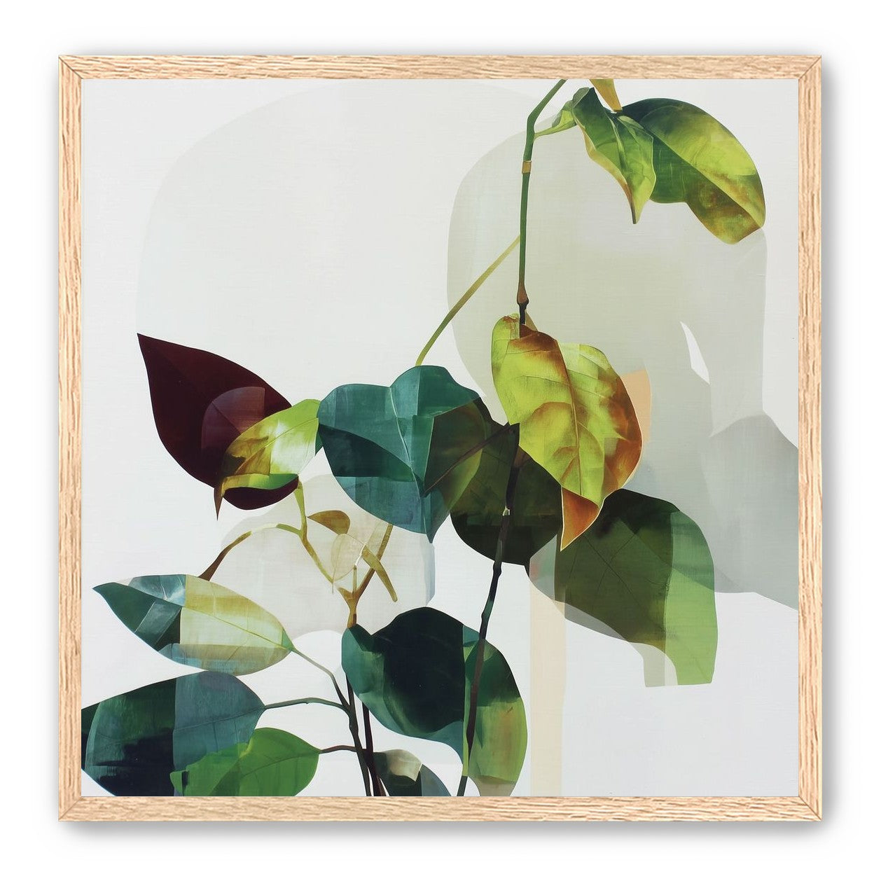 Leaves within pale shadows
