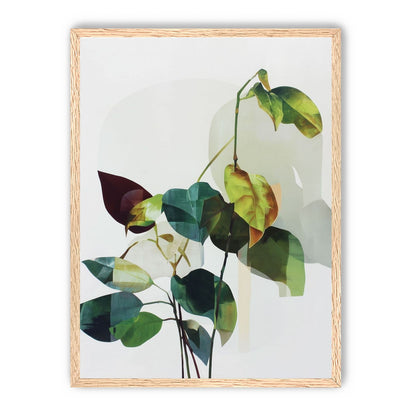 Leaves within pale shadows