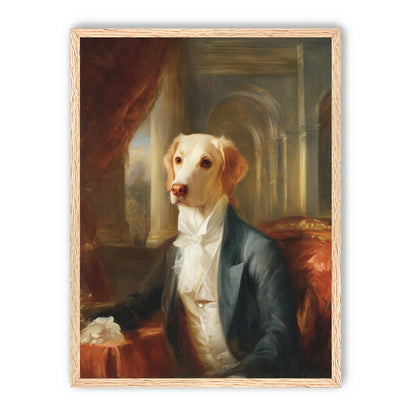 A dog in formal wear