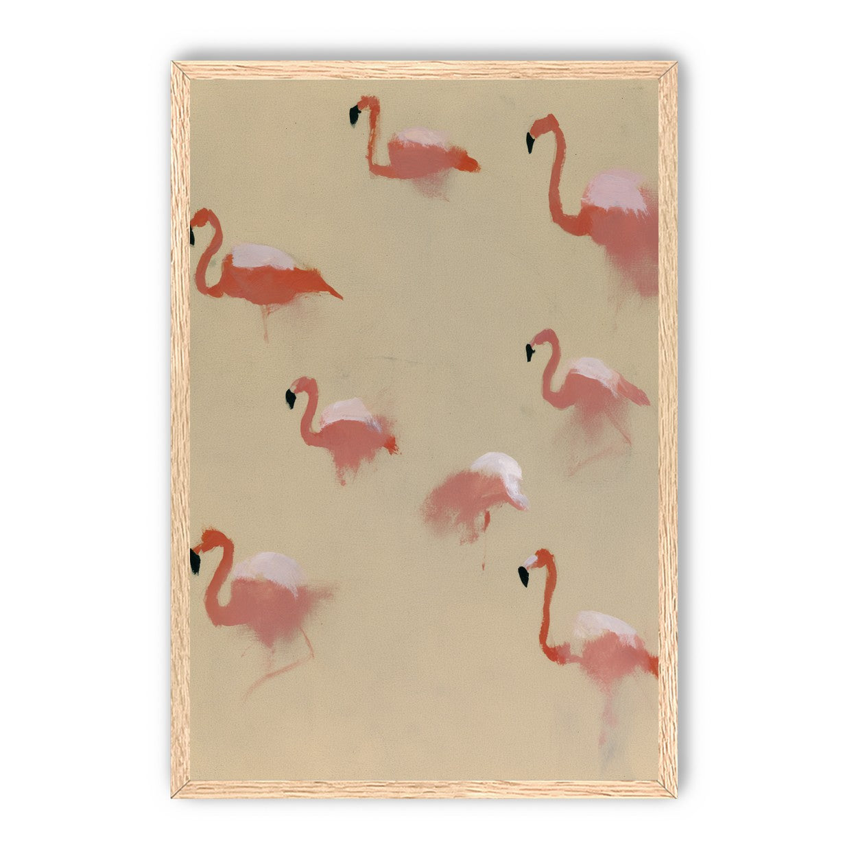 Flamingos in quiet drift