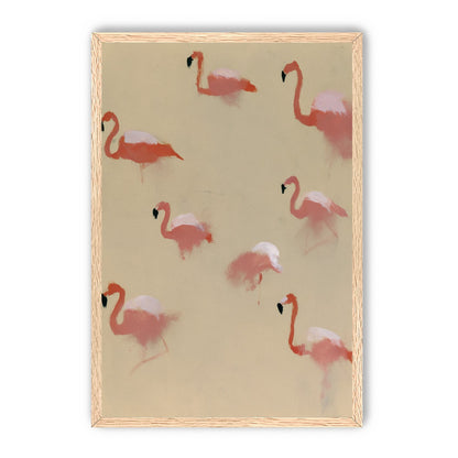 Flamingos in quiet drift