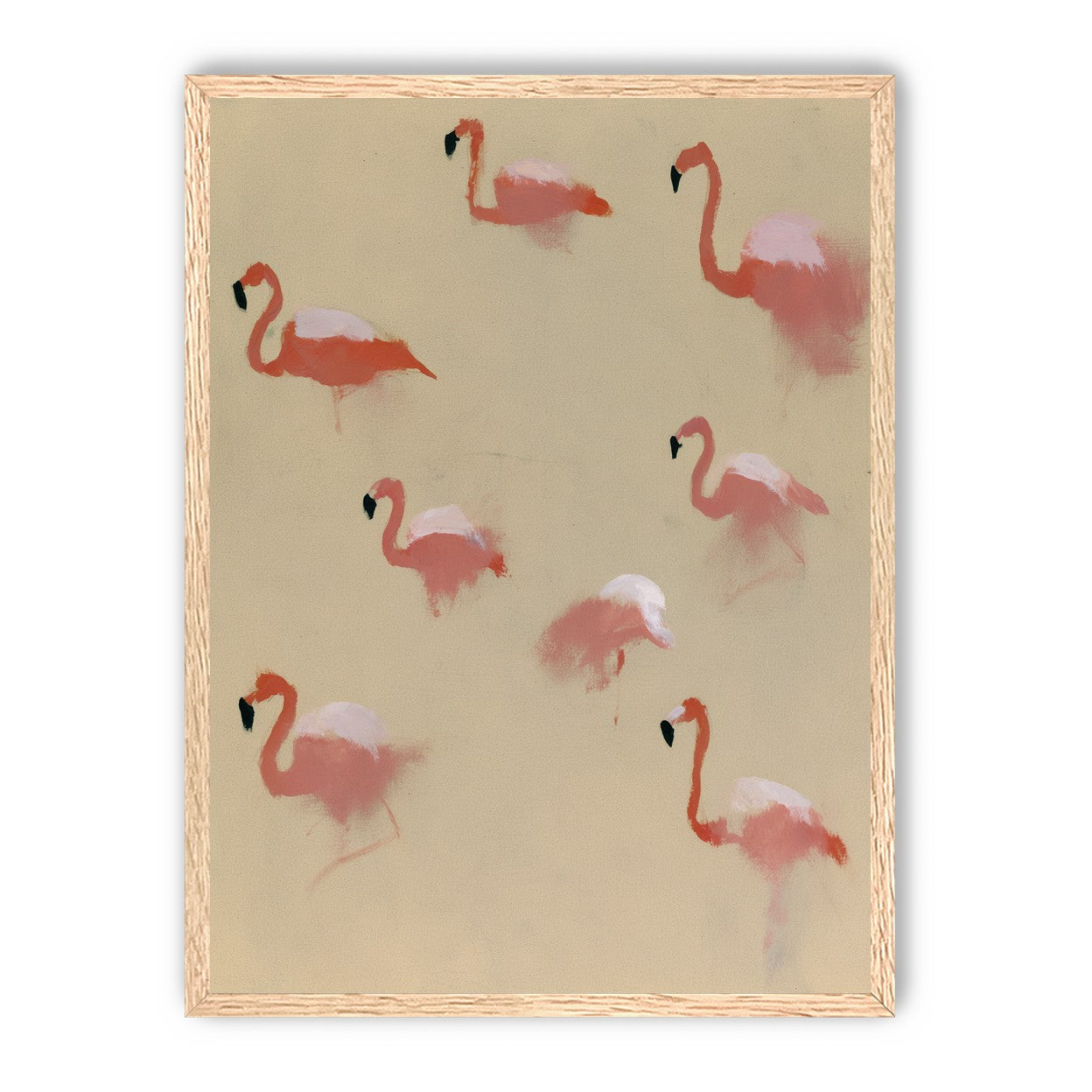 Flamingos in quiet drift