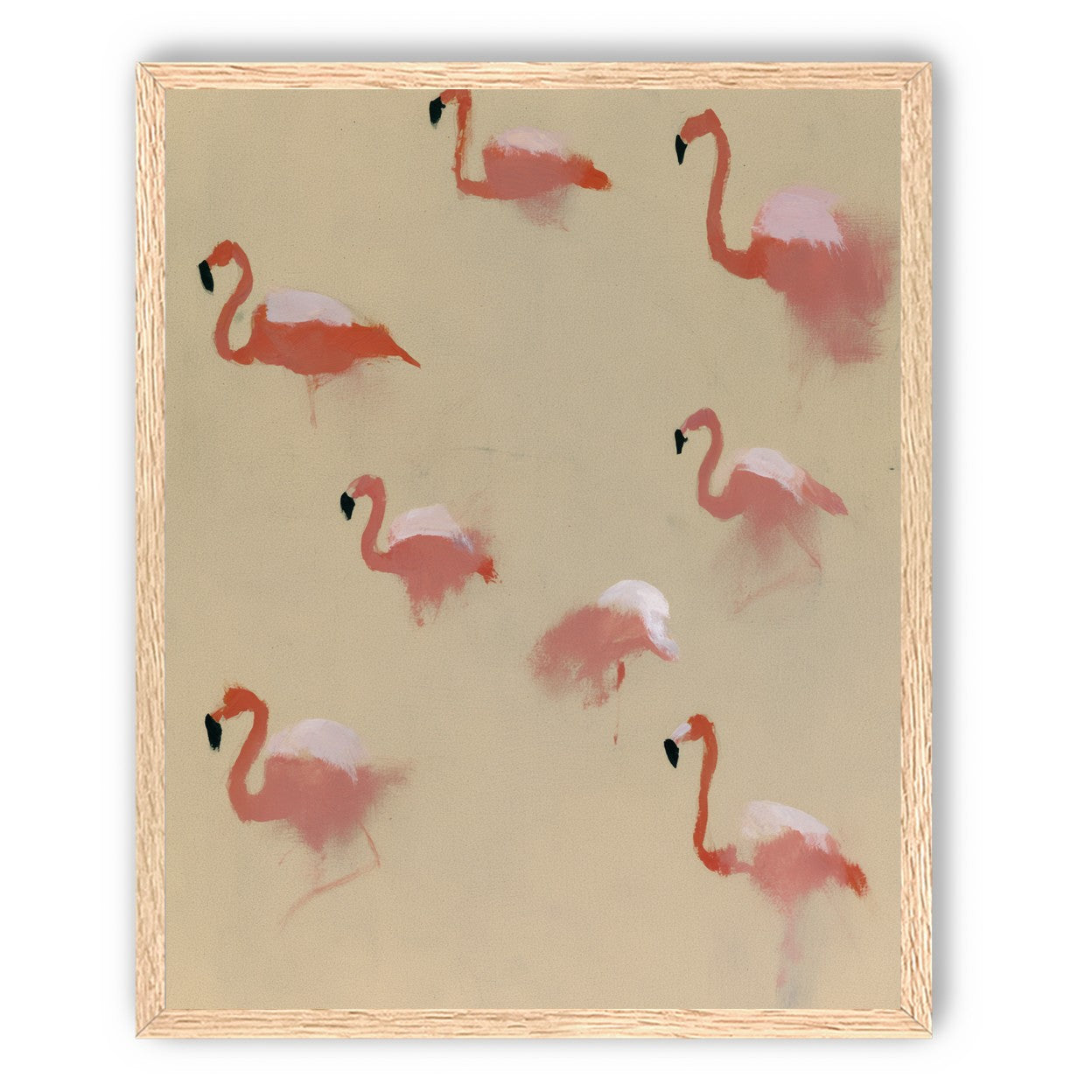 Flamingos in quiet drift