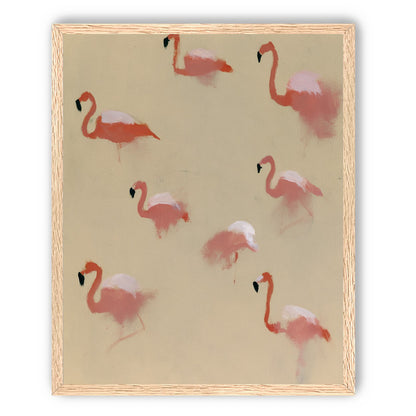 Flamingos in quiet drift