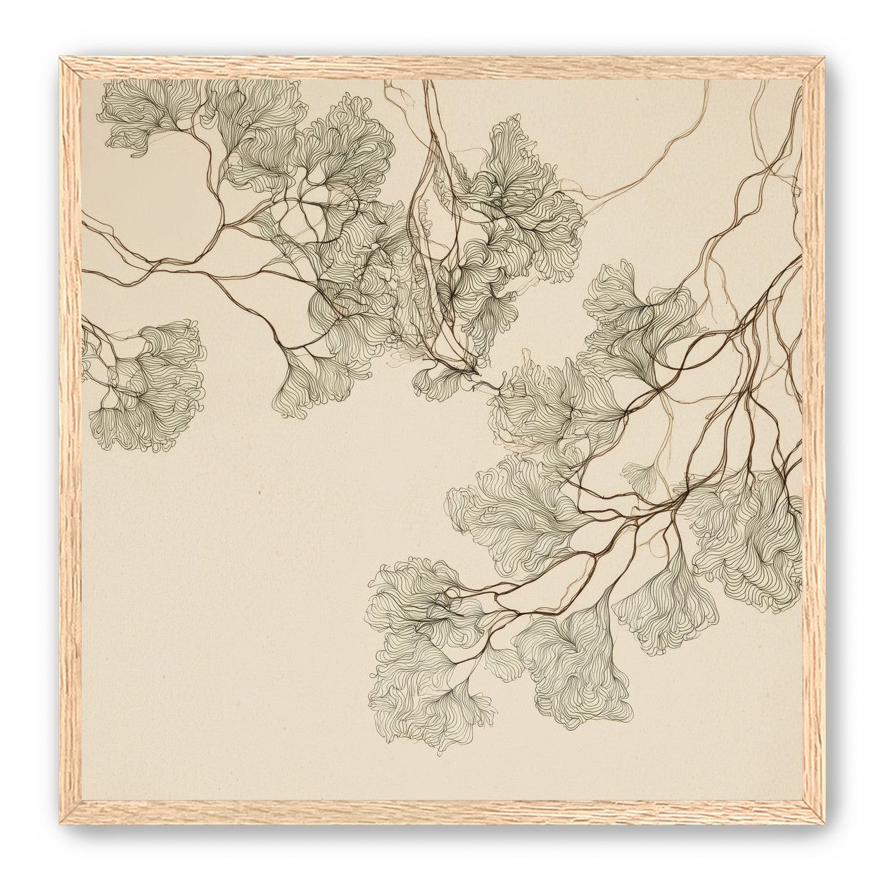 A Field of Drawn Canopies