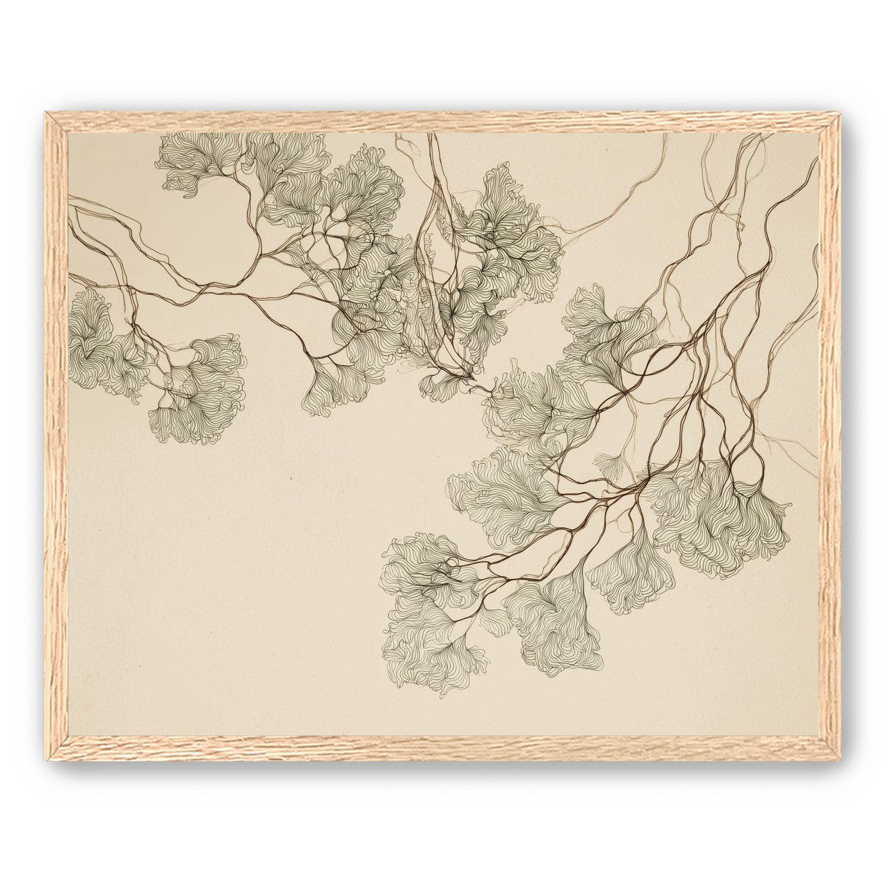 A Field of Drawn Canopies