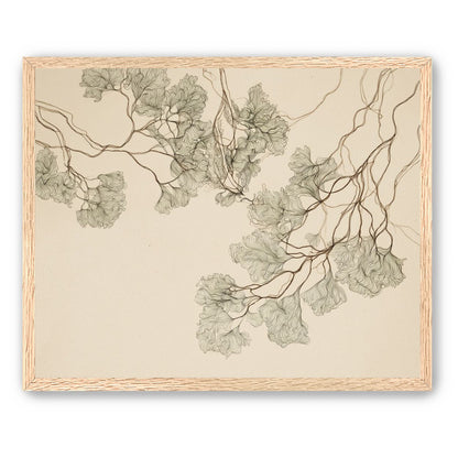 A Field of Drawn Canopies