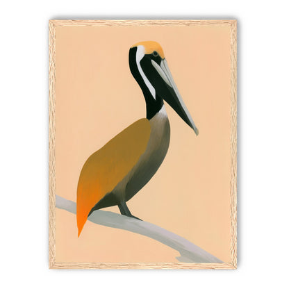 Pelican in peach light