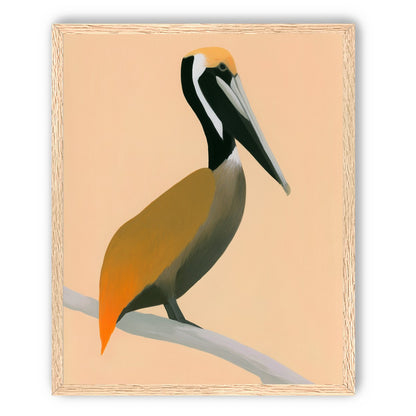 Pelican in peach light
