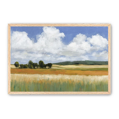 Meadow Under Clouds