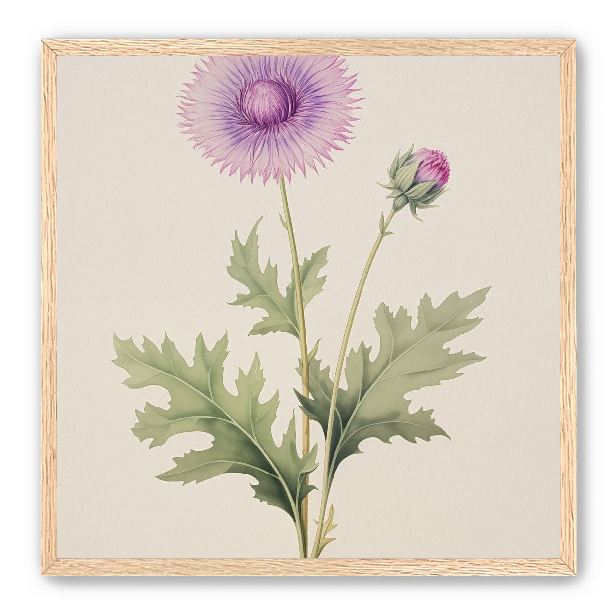 Lavender Radiance