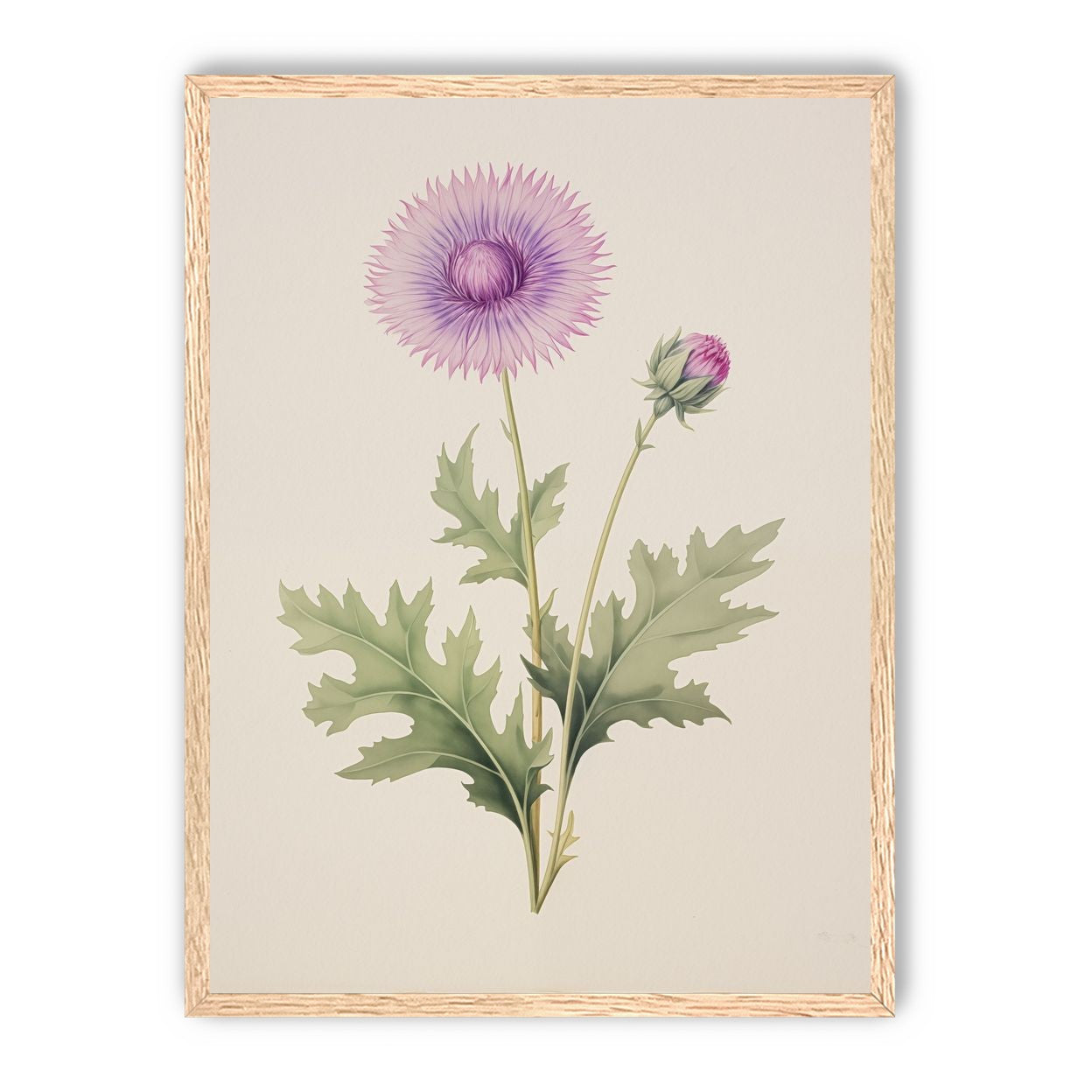 Lavender Radiance