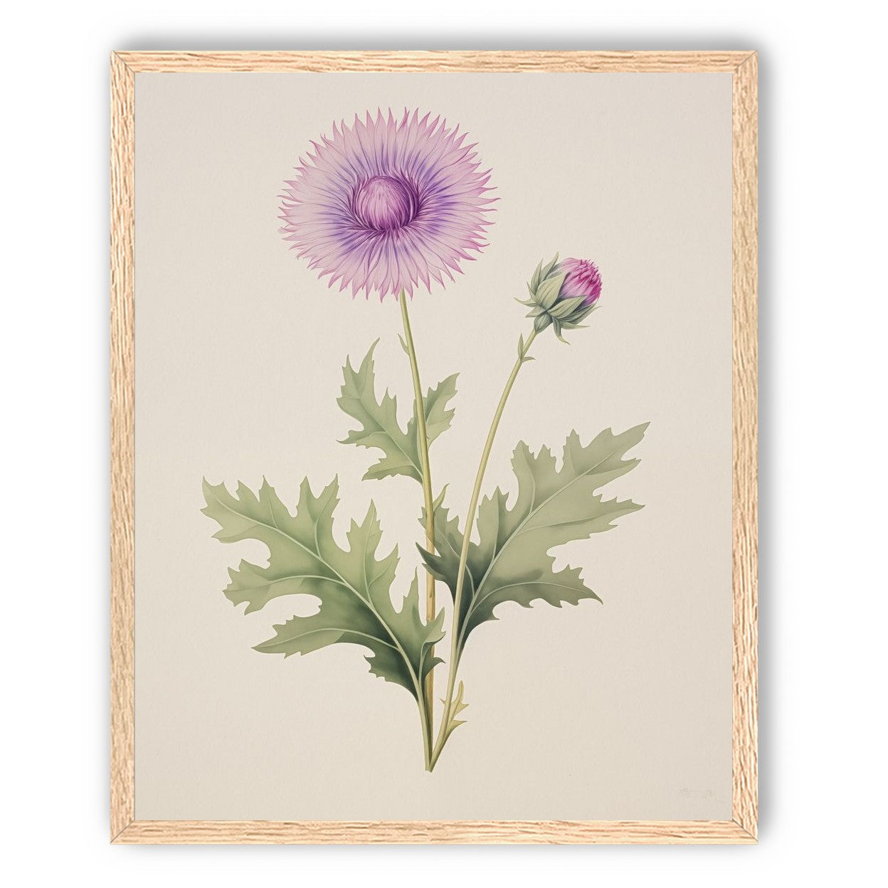 Lavender Radiance