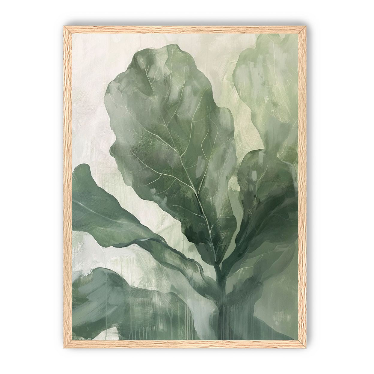 Sage leaves in pale light