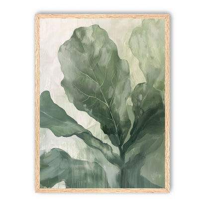 Sage leaves in pale light