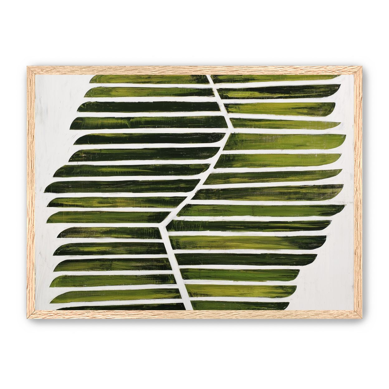 Leaf ribs around a white vein