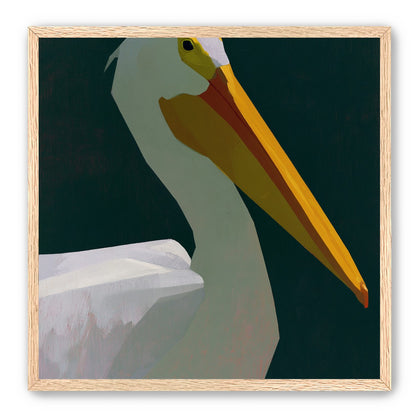 White pelican in deep green
