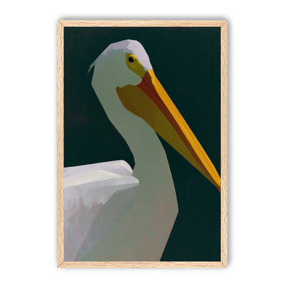 White pelican in deep green