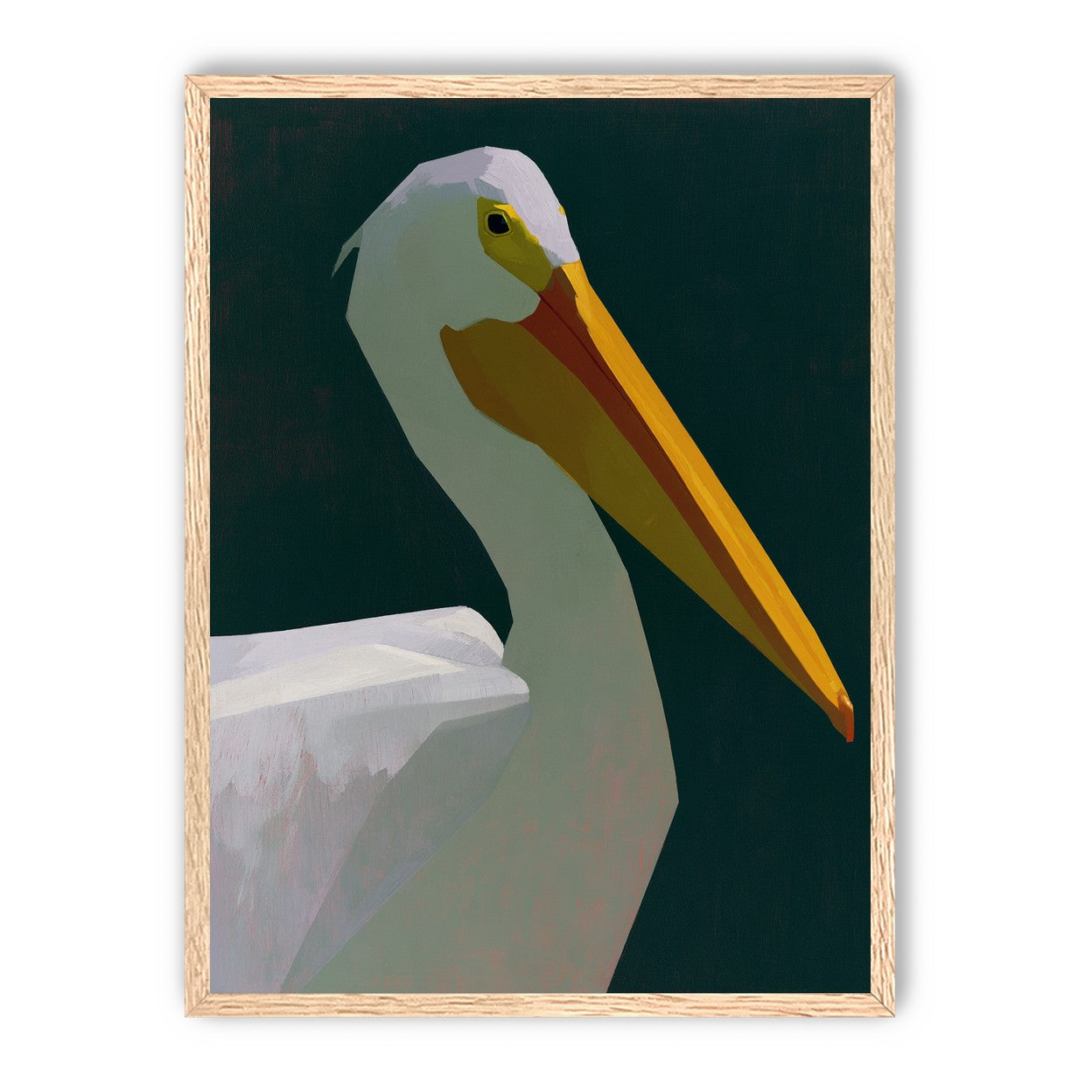 White pelican in deep green