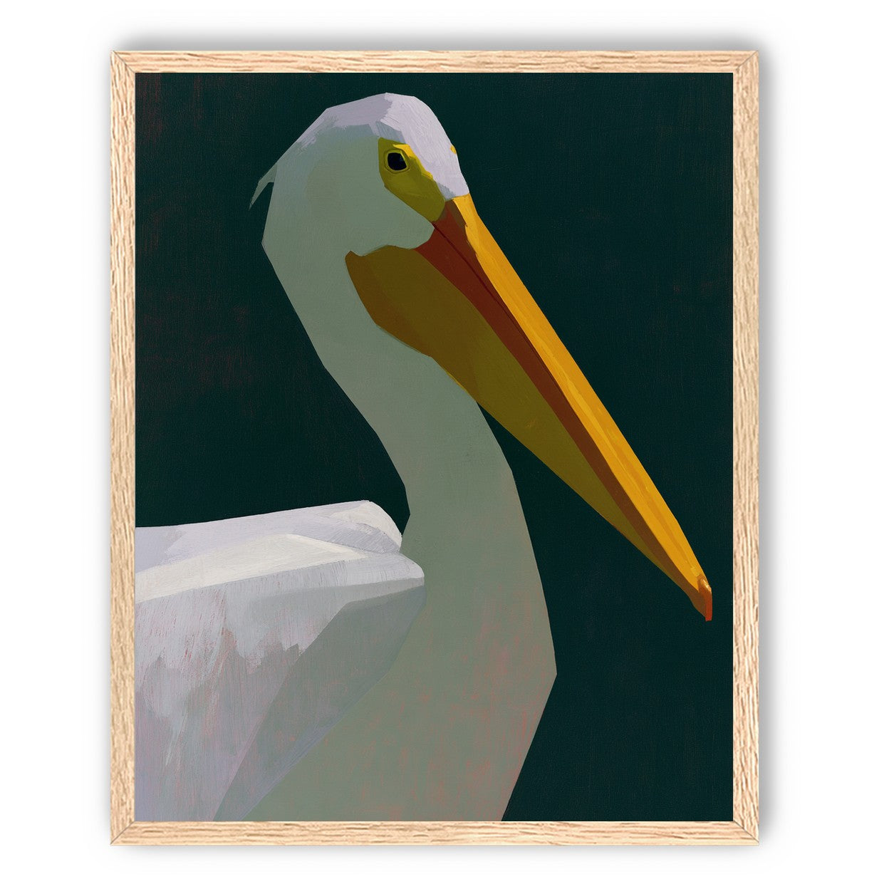 White pelican in deep green