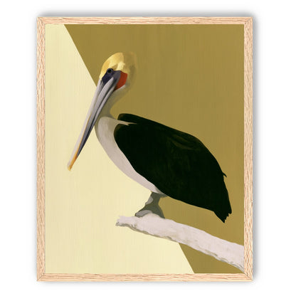 Pelican in quiet balance