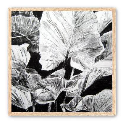A Cluster of Leaves
