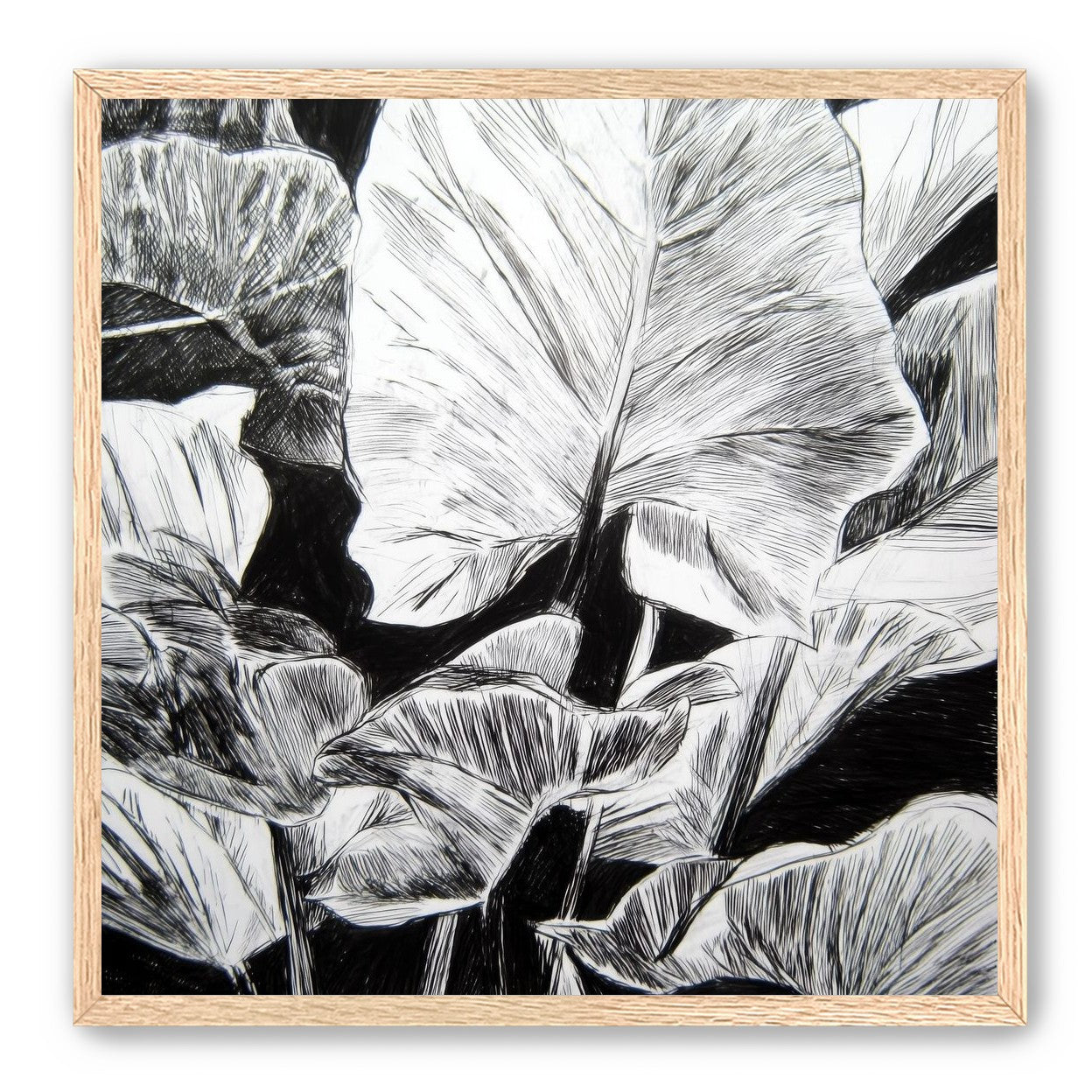A Cluster of Leaves
