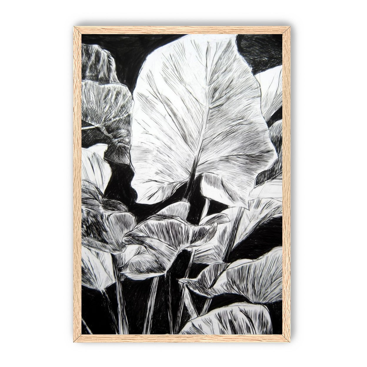 A Cluster of Leaves