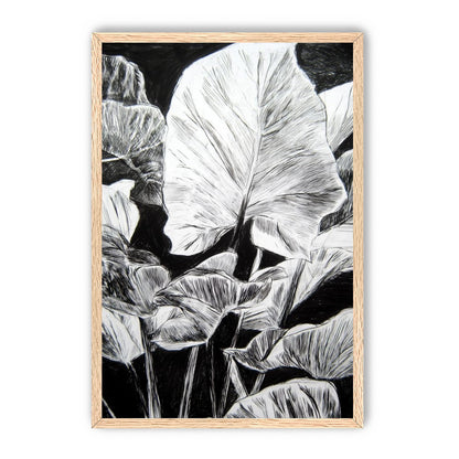 A Cluster of Leaves