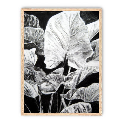 A Cluster of Leaves