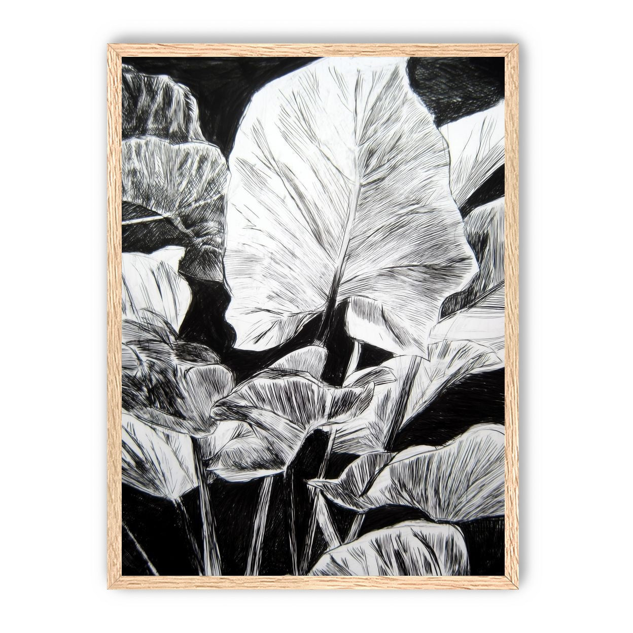 A Cluster of Leaves