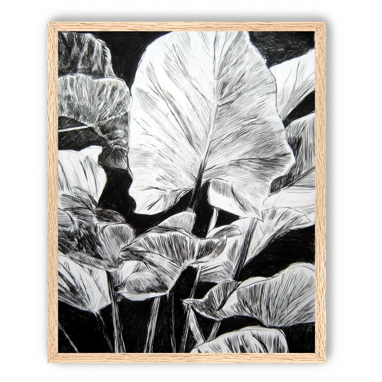 A Cluster of Leaves