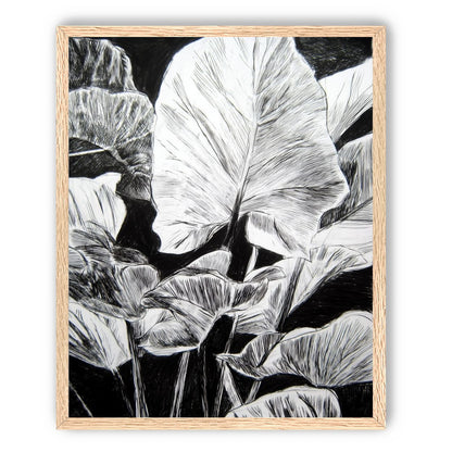 A Cluster of Leaves