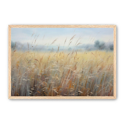 Wheat Fields