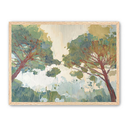Canopy Forms Across the Field