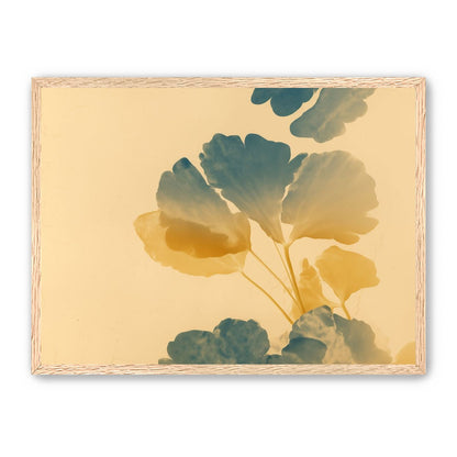 Pressed Matter