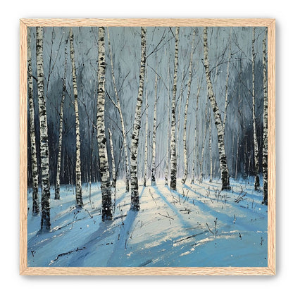 Birch Trees in Winter Light