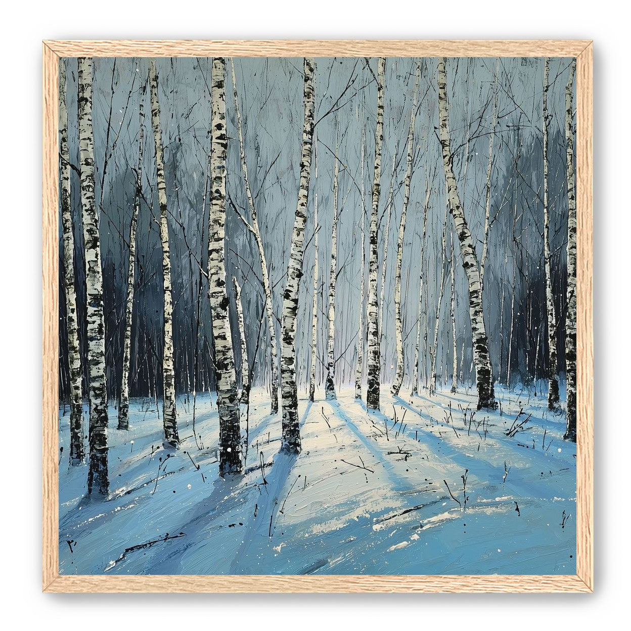 Birch Trees in Winter Light