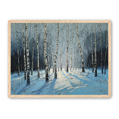 Birch Trees in Winter Light